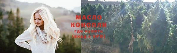 мдпв Вяземский