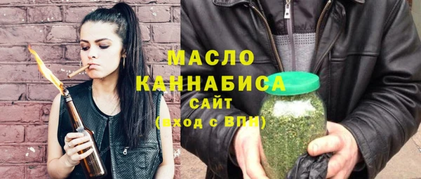 мдпв Вяземский