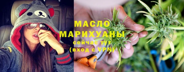 мдпв Вяземский