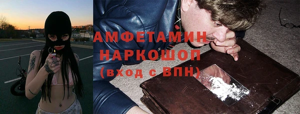 мдпв Вяземский