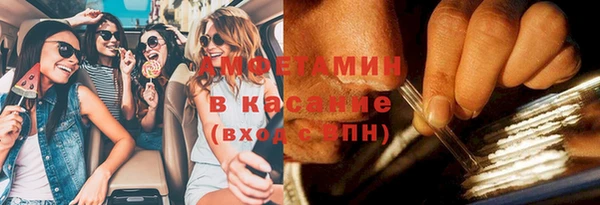 мдпв Вяземский