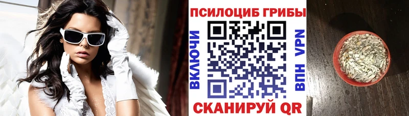 blacksprut ССЫЛКА цена Муром Псилоцибиновые грибы прущие грибы